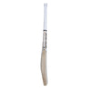 SS Player 2000 English Willow Cricket Bat