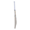 SS Player 2000 English Willow Cricket Bat