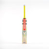GN Tempesta 1.0 200 Cricket Bat