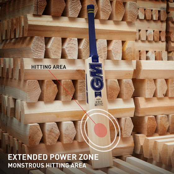 2025 GM Brava 606 English Willow Bat