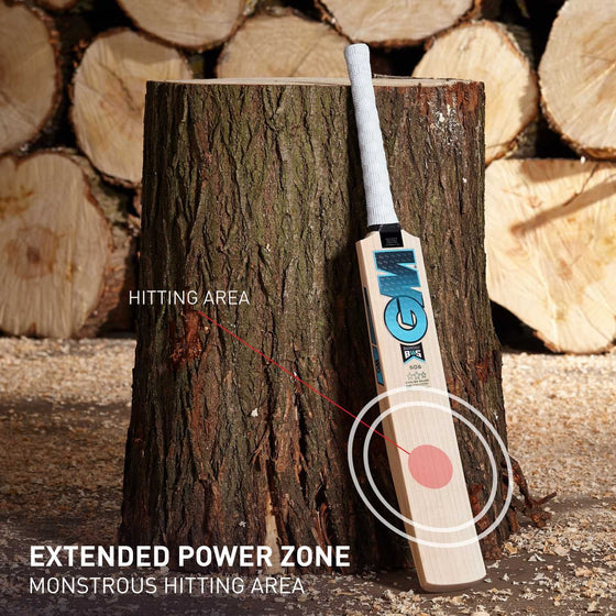 2025 GM Diamond 404 English Willow Bat