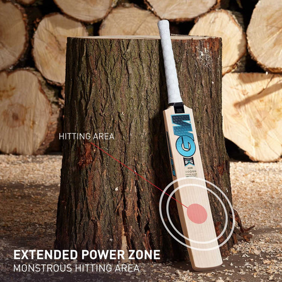 2025 GM Diamond 808 English Willow Bat