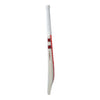 Gray Nicolls Neocore Limited Edition English Willow Cricket Bat