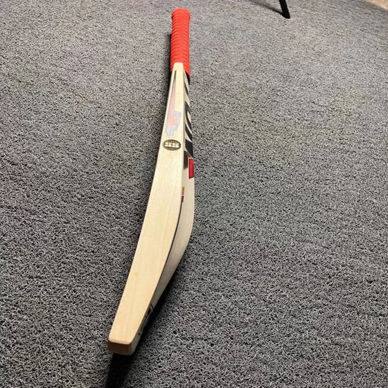 SS TON Moeen Ali Players English Willow bat
