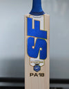 SF Priyansh Arya Player bat