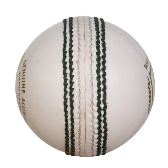 SG Club™ Cricket Leather Ball