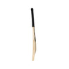 SG King Cobra Arc 4.0 Cricket Bat