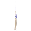 SS TON Reserve Edition English willow Cricket Bat