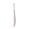 Versant Lit English Willow Cricket Bat
