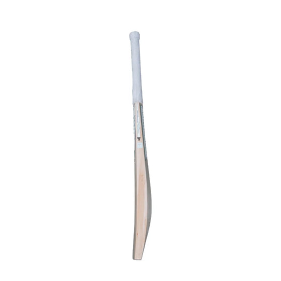Versant Lit English Willow Cricket Bat