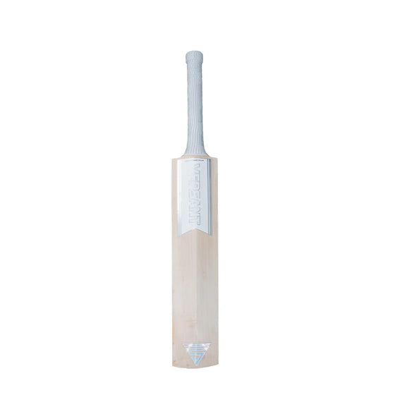 Versant Lit English Willow Cricket Bat