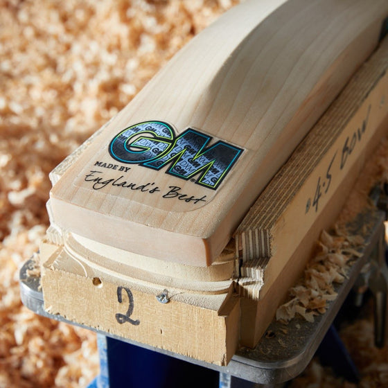 GM Aion 808 English Willow Bat