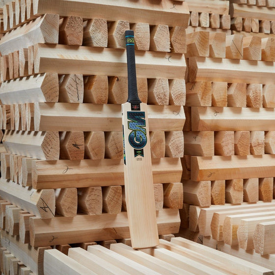 GM Aion 808 English Willow Bat