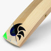 DSC Split 450 English Willow Cricket bat